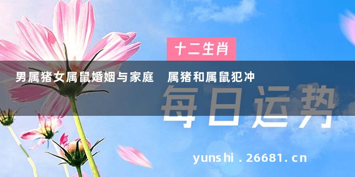 男属猪女属鼠婚姻与家庭 属猪和属鼠犯冲